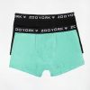 Mens Zoo York | Zoo York Mens 2-Pack Boxer Briefs Green