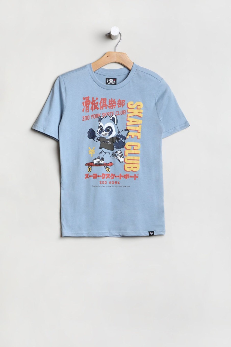 Youth Zoo York | Zoo York Youth Skate Club T-Shirt Baby Blue