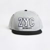 Youth Zoo York | Zoo York Youth Zyc Flat Brim Hat Heather Grey