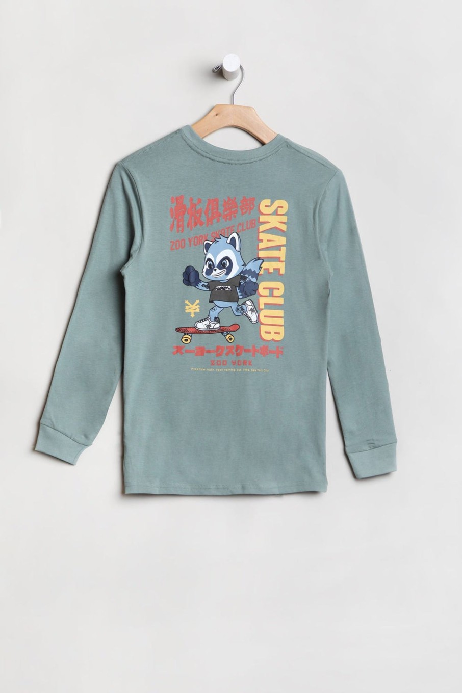 Youth Zoo York | Zoo York Youth Skate Club Long Sleeve Top Sage