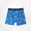 Youth No Fear | No Fear Youth Logo Print Boxer Brief