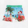 Mens Zoo York | Zoo York Mens Xmas Beach Boxer Brief Light Blue